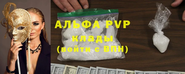 гидра Покачи