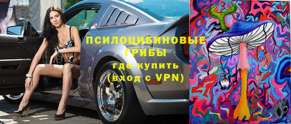 гидра Покачи