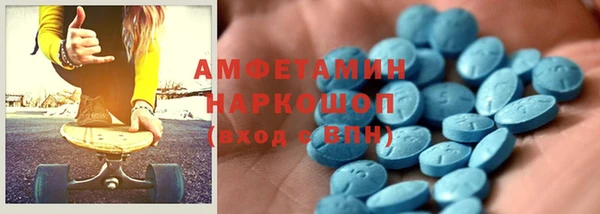 гидра Покачи