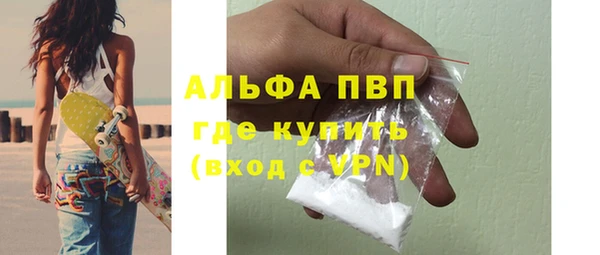 гидра Покачи