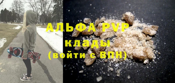 гидра Покачи