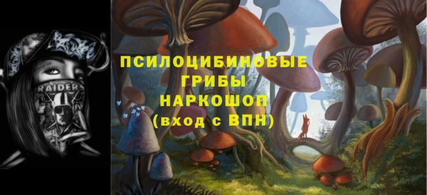 гидра Покачи