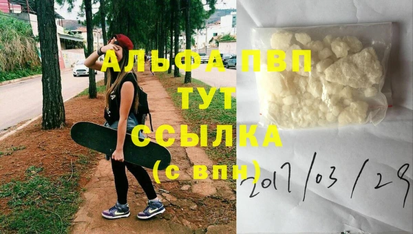 гидра Покачи