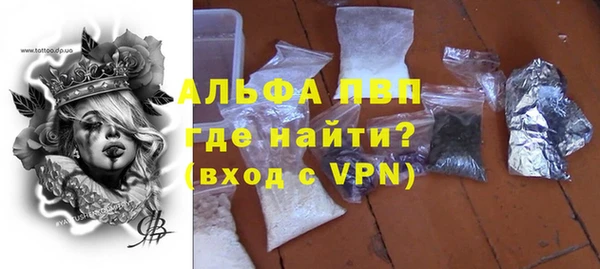 гидра Покачи